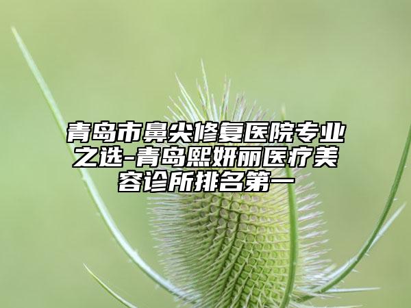 青島市鼻尖修復醫(yī)院專業(yè)之選-青島熙妍麗醫(yī)療美容診所排名第一