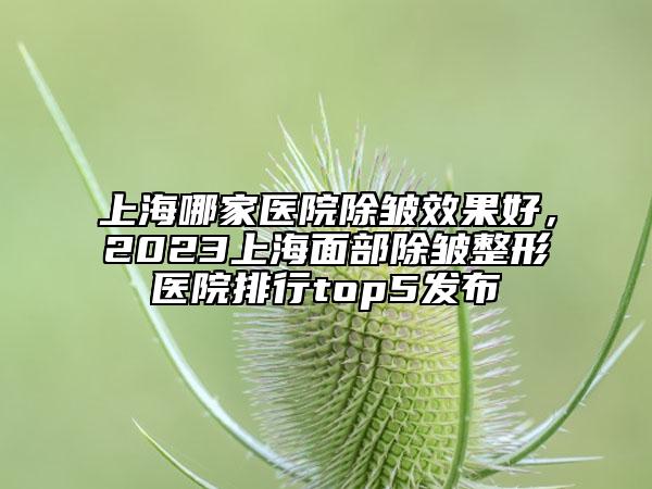上海哪家醫(yī)院除皺效果好，2023上海面部除皺整形醫(yī)院排行top5發(fā)布