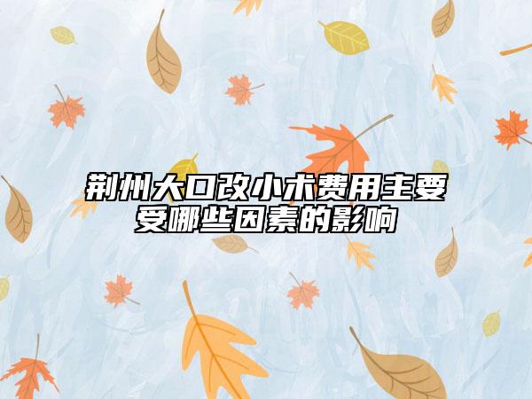 荊州大口改小術費用主要受哪些因素的影響