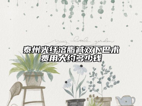 泰州光纖溶脂減雙下巴術費用大約多少錢