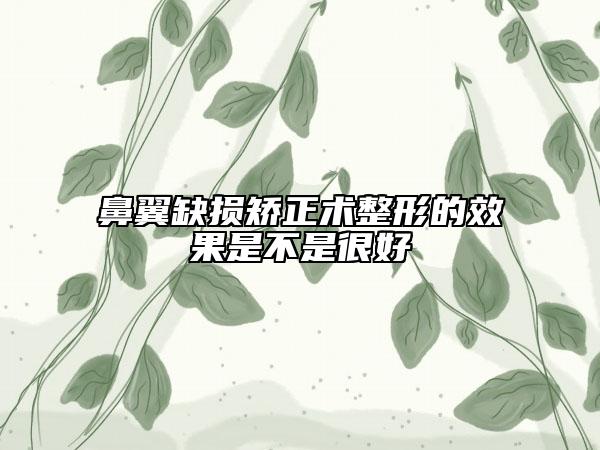 鼻翼缺損矯正術(shù)整形的效果是不是很好