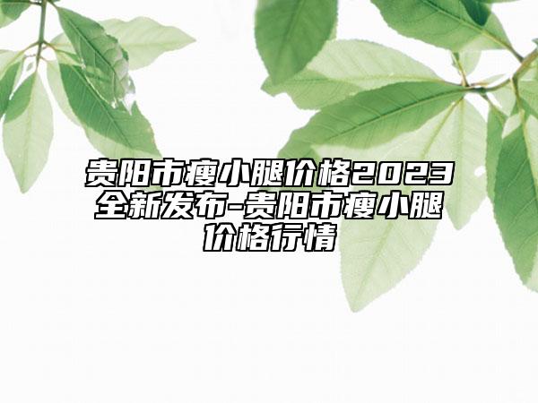 貴陽(yáng)市瘦小腿價(jià)格2023全新發(fā)布-貴陽(yáng)市瘦小腿價(jià)格行情
