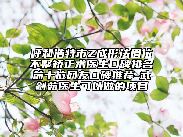 呼和浩特市Z成形法眉位不整矯正術(shù)醫(yī)生口碑排名前十位網(wǎng)友口碑推薦-武劍茹醫(yī)生可以做的項目