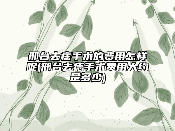 邢臺去痣手術的費用怎樣呢(邢臺去痣手術費用大約是多少)