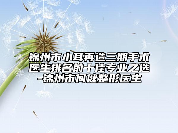 錦州市小耳再造三期手術(shù)醫(yī)生排名前十佳專業(yè)之選-錦州市何健整形醫(yī)生