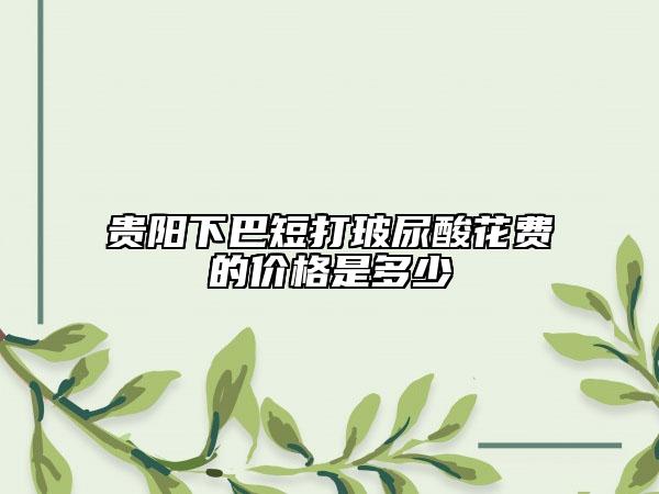 貴陽(yáng)下巴短打玻尿酸花費(fèi)的價(jià)格是多少