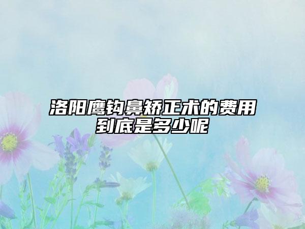 洛陽(yáng)鷹鉤鼻矯正術(shù)的費(fèi)用到底是多少呢