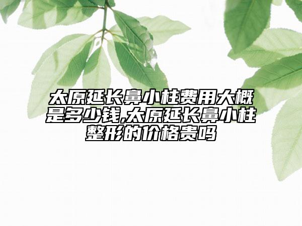 太原延長(zhǎng)鼻小柱費(fèi)用大概是多少錢,太原延長(zhǎng)鼻小柱整形的價(jià)格貴嗎