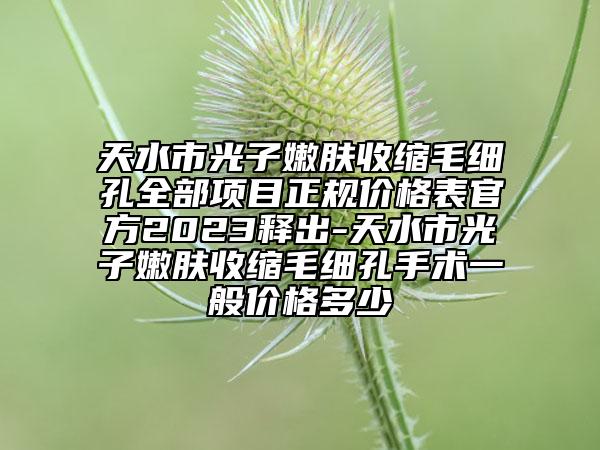 天水市光子嫩膚收縮毛細(xì)孔全部項目正規(guī)價格表官方2023釋出-天水市光子嫩膚收縮毛細(xì)孔手術(shù)一般價格多少