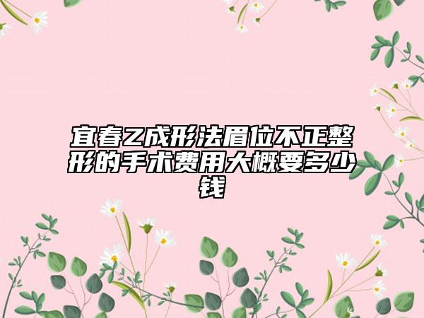 宜春Z成形法眉位不正整形的手術(shù)費(fèi)用大概要多少錢