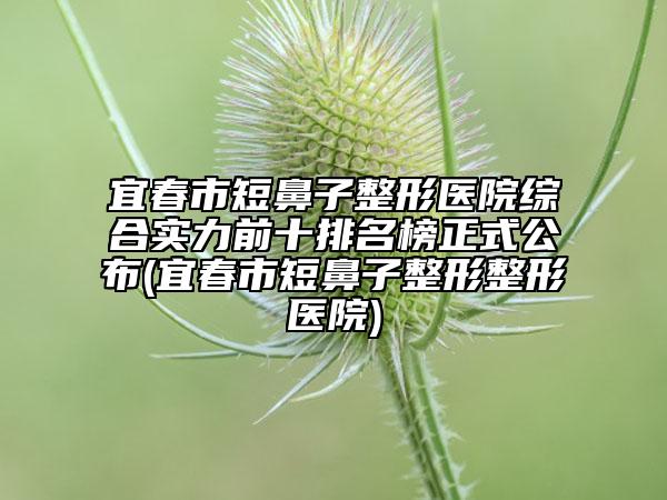 宜春市短鼻子整形醫(yī)院綜合實(shí)力前十排名榜正式公布(宜春市短鼻子整形整形醫(yī)院)