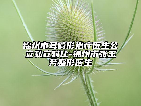 錦州市耳畸形治療醫(yī)生公立私立對(duì)比-錦州市張玉芳整形醫(yī)生