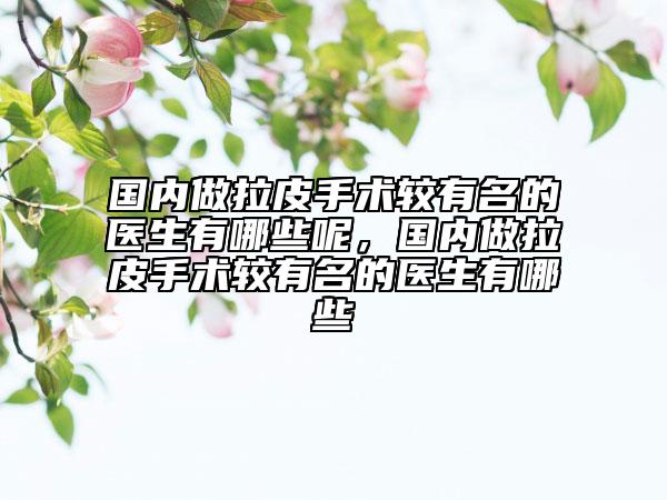國內(nèi)做拉皮手術(shù)較有名的醫(yī)生有哪些呢，國內(nèi)做拉皮手術(shù)較有名的醫(yī)生有哪些