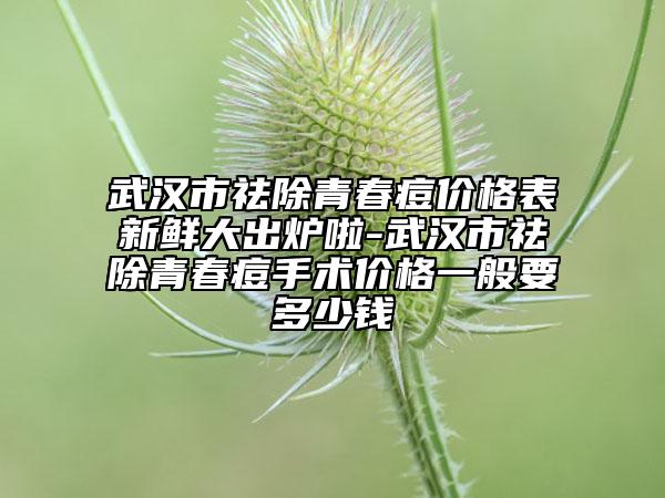 武漢市祛除青春痘價(jià)格表新鮮大出爐啦-武漢市祛除青春痘手術(shù)價(jià)格一般要多少錢
