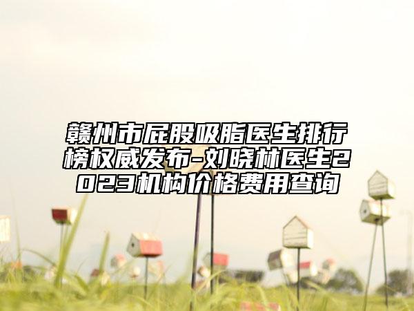 贛州市屁股吸脂醫(yī)生排行榜權(quán)威發(fā)布-劉曉林醫(yī)生2023機(jī)構(gòu)價(jià)格費(fèi)用查詢