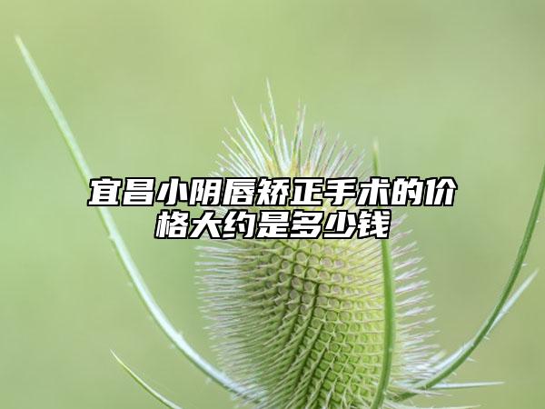 宜昌小陰唇矯正手術(shù)的價格大約是多少錢