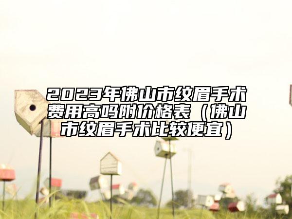 2023年佛山市紋眉手術(shù)費(fèi)用高嗎附價(jià)格表（佛山市紋眉手術(shù)比較便宜）