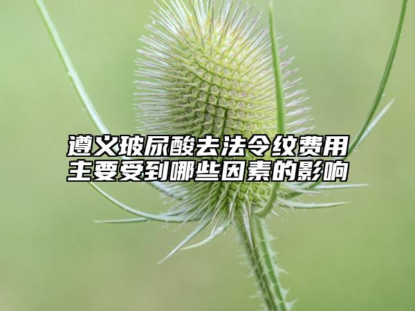 遵義玻尿酸去法令紋費用主要受到哪些因素的影響