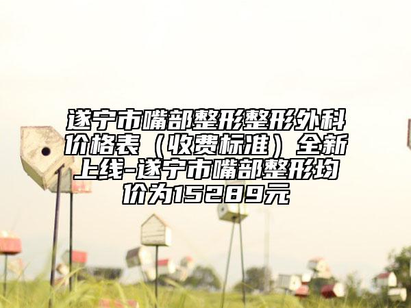 遂寧市嘴部整形整形外科價格表（收費標準）全新上線-遂寧市嘴部整形均價為15289元