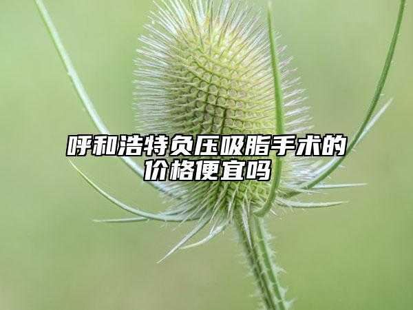 呼和浩特負壓吸脂手術(shù)的價格便宜嗎