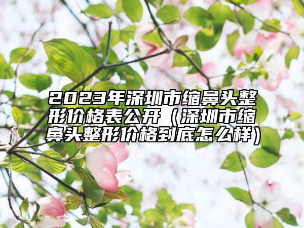 2023年深圳市縮鼻頭整形價(jià)格表公開(kāi)（深圳市縮鼻頭整形價(jià)格到底怎么樣）