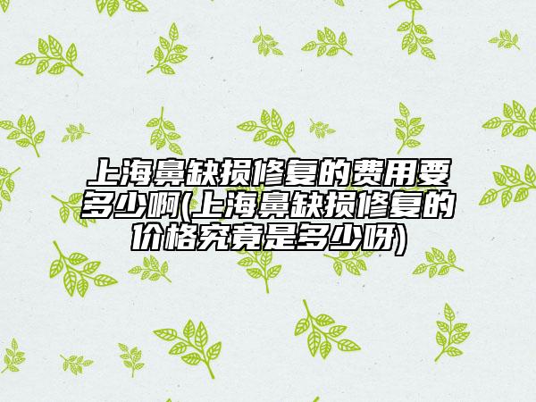 上海鼻缺損修復(fù)的費(fèi)用要多少啊(上海鼻缺損修復(fù)的價(jià)格究竟是多少呀)