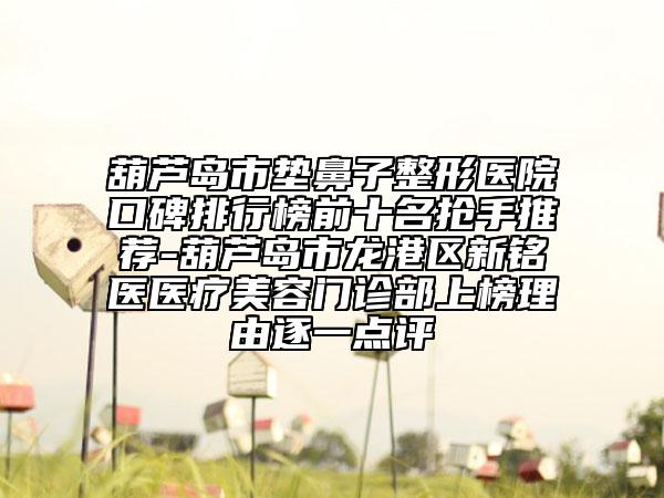 葫蘆島市墊鼻子整形醫(yī)院口碑排行榜前十名搶手推薦-葫蘆島市龍港區(qū)新銘醫(yī)醫(yī)療美容門(mén)診部上榜理由逐一點(diǎn)評(píng)