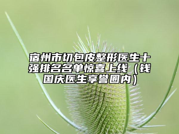 宿州市切包皮整形醫(yī)生十強排名名單驚喜上線（錢國慶醫(yī)生享譽圈內(nèi)）