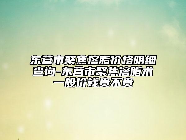 東營(yíng)市聚焦溶脂價(jià)格明細(xì)查詢-東營(yíng)市聚焦溶脂術(shù)一般價(jià)錢貴不貴
