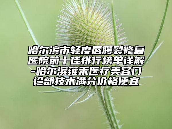 哈爾濱市輕度唇腭裂修復(fù)醫(yī)院前十佳排行榜單詳解-哈爾濱雍禾醫(yī)療美容門診部技術(shù)滿分價(jià)格便宜