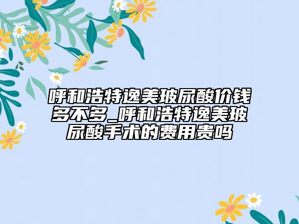 呼和浩特逸美玻尿酸價(jià)錢多不多_呼和浩特逸美玻尿酸手術(shù)的費(fèi)用貴嗎