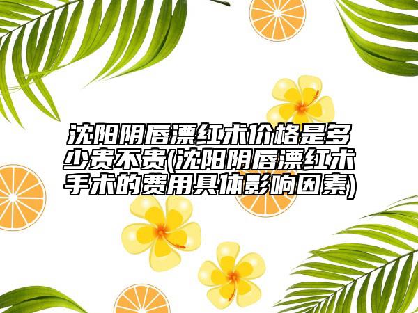 沈陽陰唇漂紅術(shù)價格是多少貴不貴(沈陽陰唇漂紅術(shù)手術(shù)的費用具體影響因素)