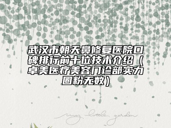 武漢市朝天鼻修復(fù)醫(yī)院口碑排行前十位技術(shù)介紹（卓美醫(yī)療美容門診部實力圈粉無數(shù)）