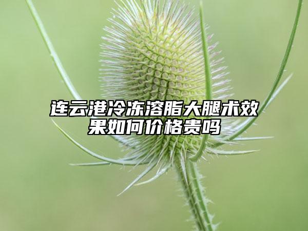 連云港冷凍溶脂大腿術效果如何價格貴嗎