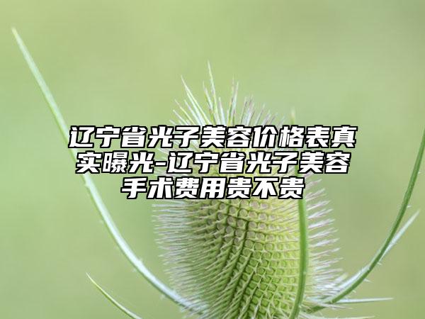 遼寧省光子美容價格表真實曝光-遼寧省光子美容手術(shù)費用貴不貴