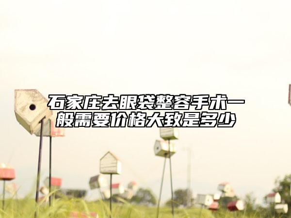 石家莊去眼袋整容手術(shù)一般需要價格大致是多少