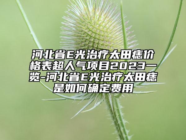 河北省E光治療太田痣價格表超人氣項目2023一覽-河北省E光治療太田痣是如何確定費用