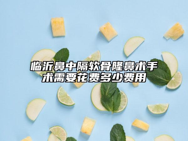 臨沂鼻中隔軟骨隆鼻術(shù)手術(shù)需要花費(fèi)多少費(fèi)用