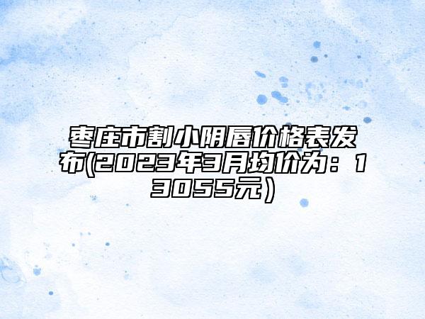 棗莊市割小陰唇價(jià)格表發(fā)布(2023年3月均價(jià)為：13055元）