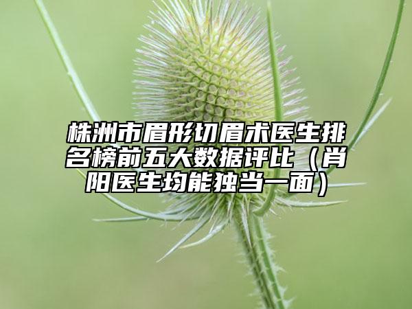 株洲市眉形切眉術(shù)醫(yī)生排名榜前五大數(shù)據(jù)評(píng)比（肖陽(yáng)醫(yī)生均能獨(dú)當(dāng)一面）