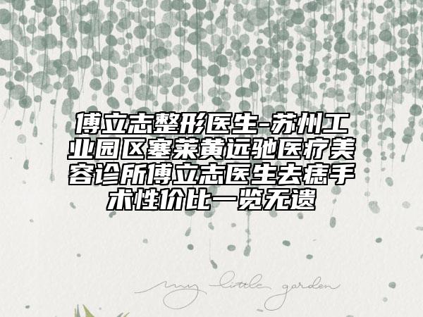 傅立志整形醫(yī)生-蘇州工業(yè)園區(qū)塞萊黃遠(yuǎn)馳醫(yī)療美容診所傅立志醫(yī)生去痣手術(shù)性價比一覽無遺
