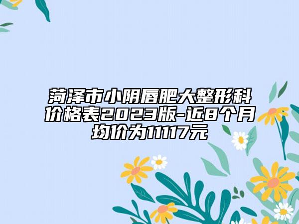 菏澤市小陰唇肥大整形科價格表2023版-近8個月均價為11117元