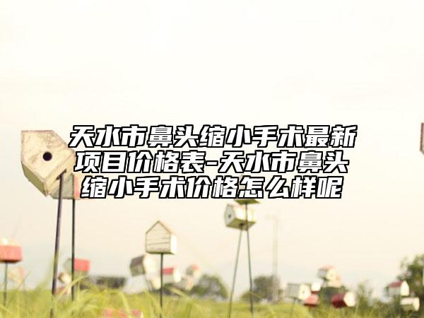 天水市鼻頭縮小手術(shù)最新項(xiàng)目?jī)r(jià)格表-天水市鼻頭縮小手術(shù)價(jià)格怎么樣呢