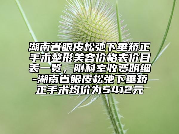 湖南省眼皮松弛下垂矯正手術(shù)整形美容價(jià)格表價(jià)目表一覽，附科室收費(fèi)明細(xì)-湖南省眼皮松弛下垂矯正手術(shù)均價(jià)為5412元