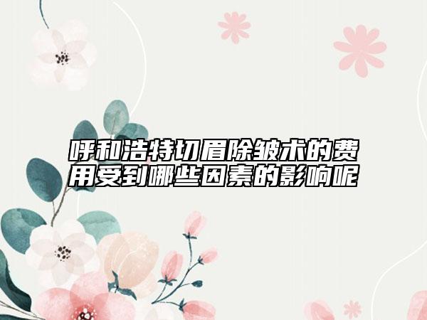 呼和浩特切眉除皺術(shù)的費(fèi)用受到哪些因素的影響呢