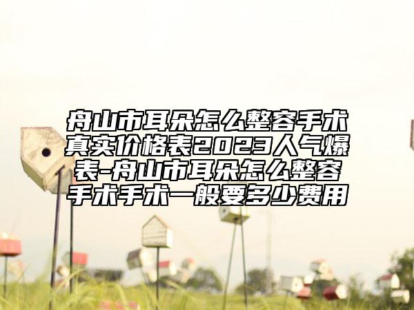 舟山市耳朵怎么整容手術(shù)真實價格表2023人氣爆表-舟山市耳朵怎么整容手術(shù)手術(shù)一般要多少費用