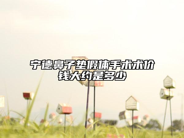 寧德鼻子墊假體手術(shù)術(shù)價錢大約是多少