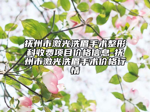 撫州市激光洗眉手術整形科收費項目價格信息-撫州市激光洗眉手術價格行情