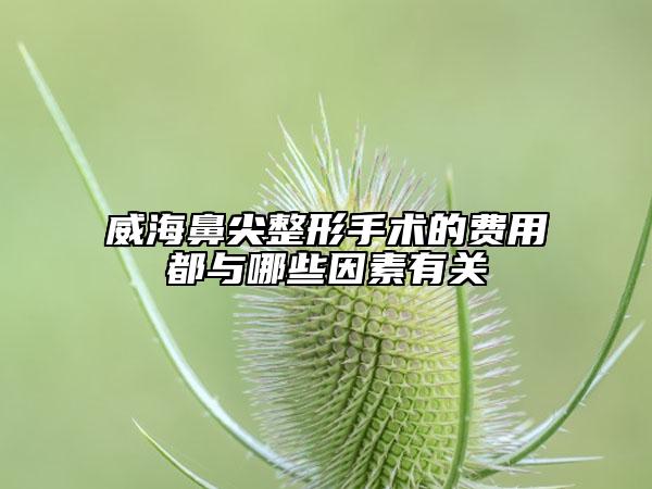 威海鼻尖整形手術(shù)的費用都與哪些因素有關(guān)