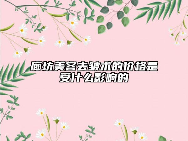 廊坊美容去皺術(shù)的價格是受什么影響的